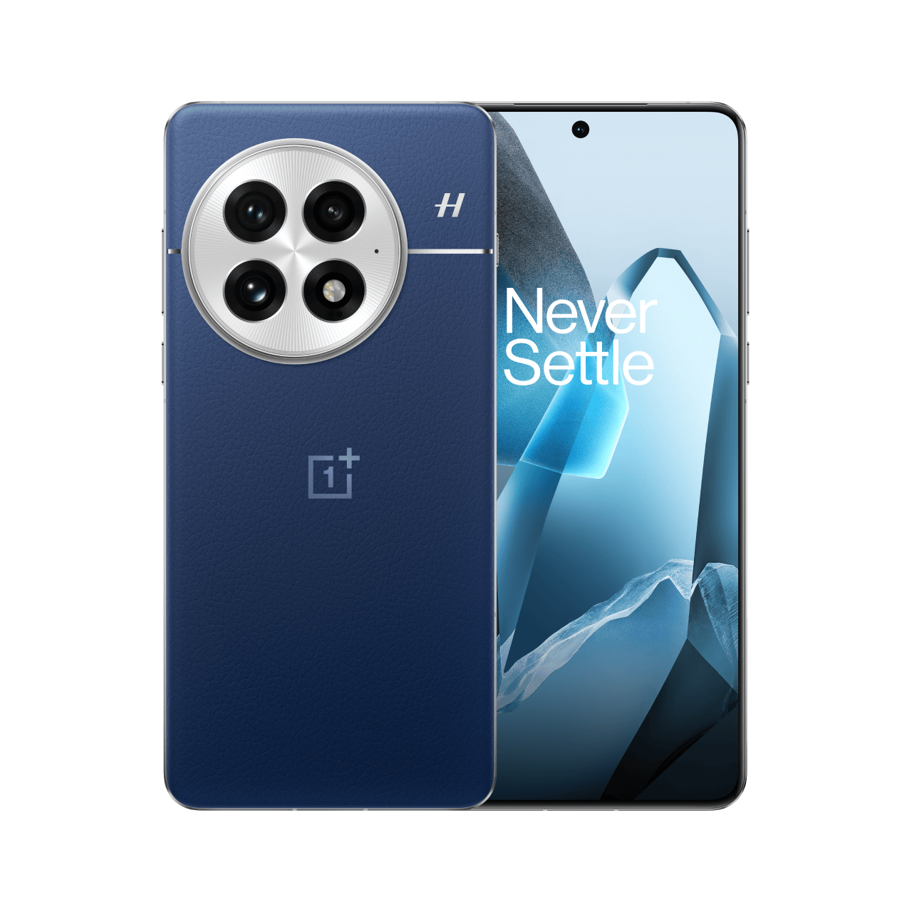 OnePlus 13
